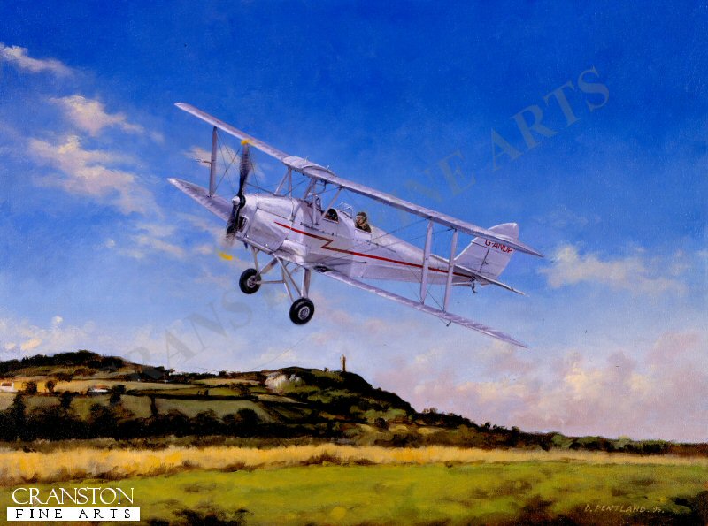 Tigermoth by David Pentland. (GS)