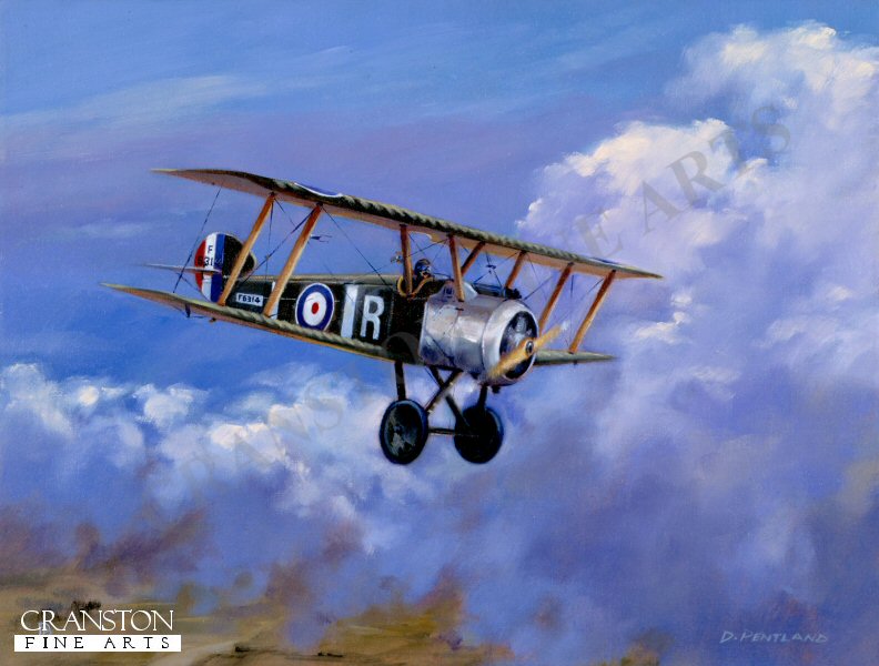 Homeward Bound - Sopwith Camel by David Pentland. (AP)