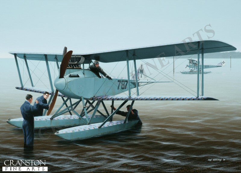 Rumpler 6.B by Ivan Berryman. (PC)