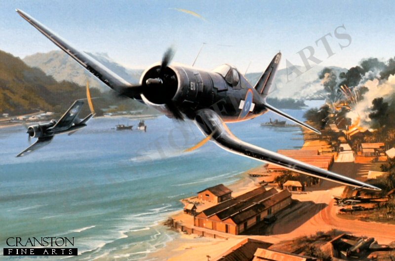 Kiwi Strike by Nicolas Trudgian (AP)