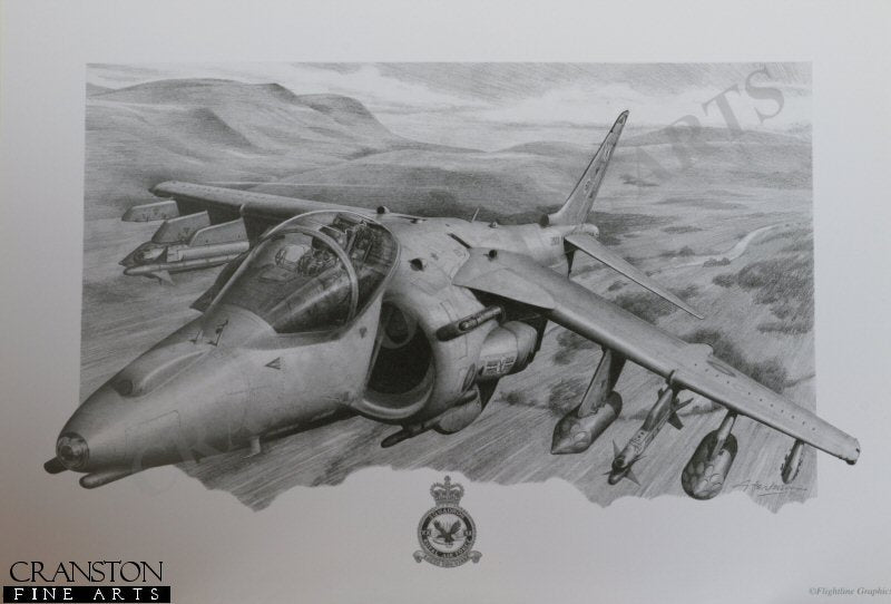 Harrier GR7 of No.20(R) Sqn by G Henderson.