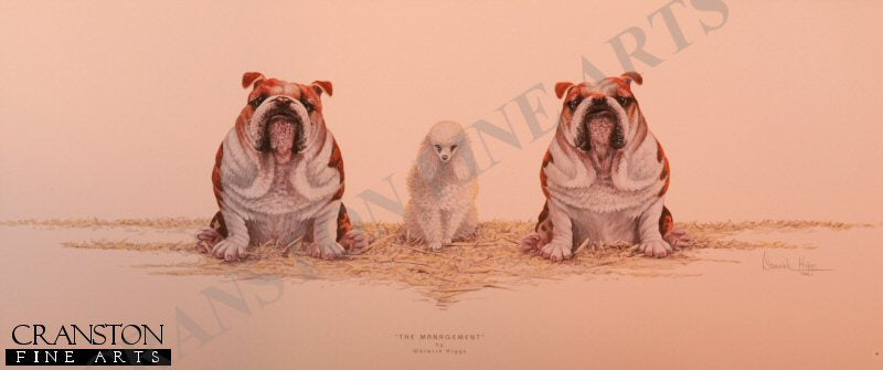 The Management by Warwick Higgs.
