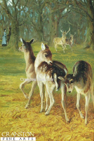 A Tryst of Fallow Deer by Phillip Richard Morris. (GL)