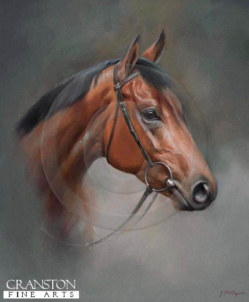 Sea the Stars by Jacqueline Stanhope.