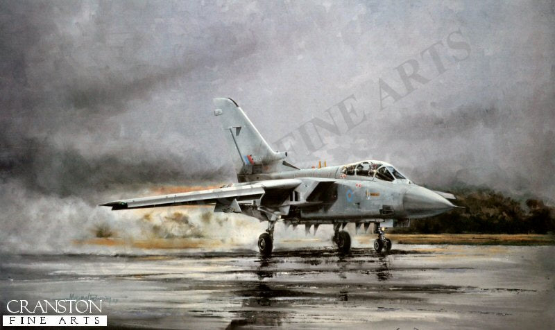 Tornado F3 by Michael Rondot. (AP)