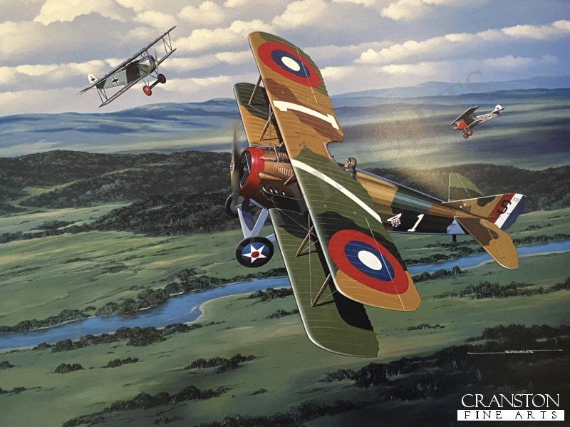 Rickenbacker: American Ace of Aces by Stan Stokes. (GS)