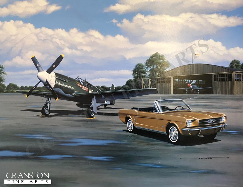 Vintage Mustangs by Stan Stokes. (GS)