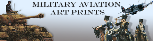 Military Aviation Art Prints