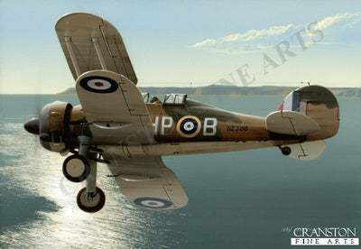 Lone Gladiator by Ivan Berryman.