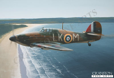 A Welcome Shore by Ivan Berryman. (B)