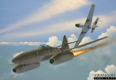 Wounded Swallow by Ivan Berryman. (B)