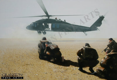 Desert Hawk by Ivan Berryman. (B)