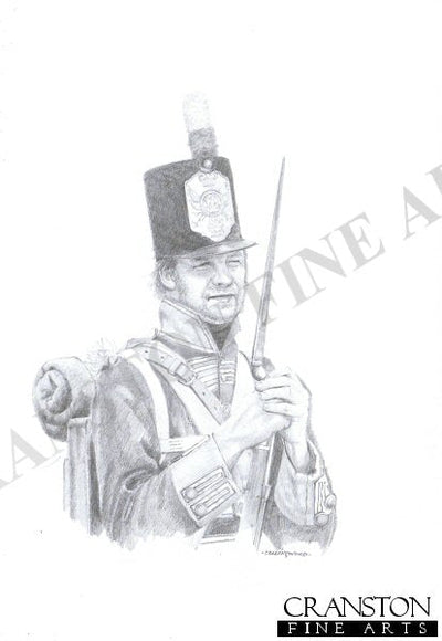 British Infantry, Peninsula War by Chris Collingwood.