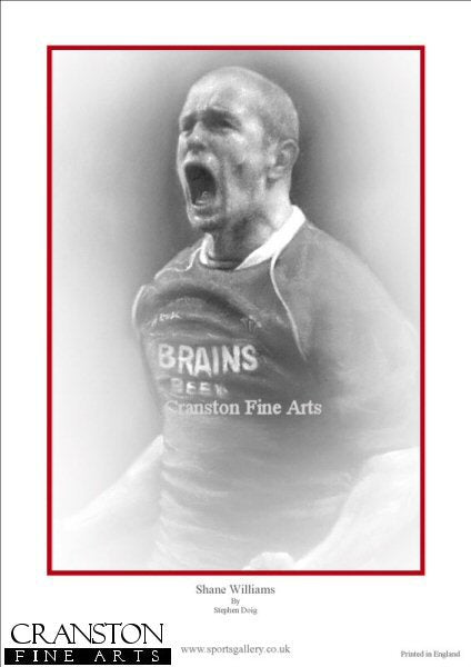 Shane Williams by Stephen Doig.