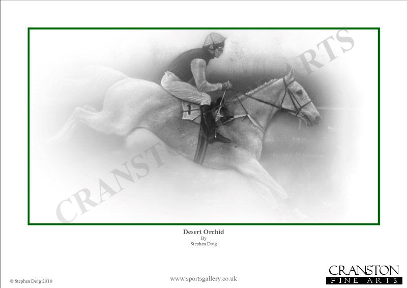 Desert Orchid by Stephen Doig.