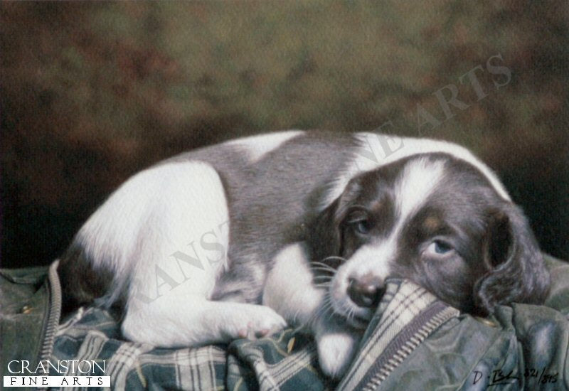 Puppy Eyes by Darren Baker.