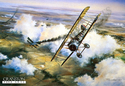 The Sky Warriors by Anthony Saunders.