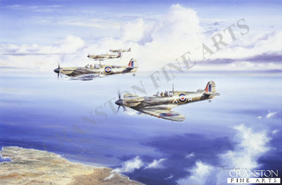 Maltese Falcons by Anthony Saunders. (C)