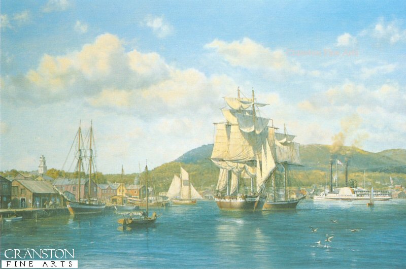 Aurelia at Camden Maine by Roy Cross.