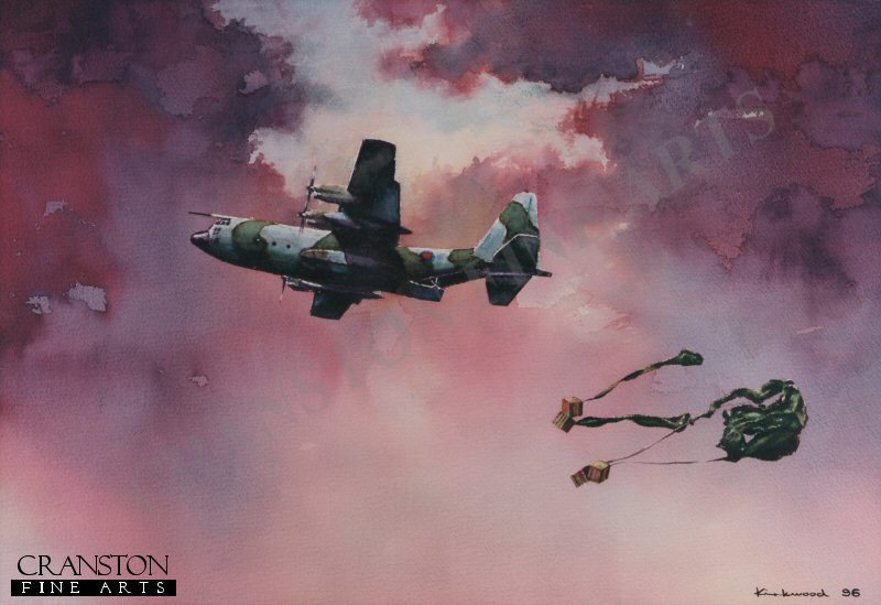 Squadron Training by Scott Kirkwood.