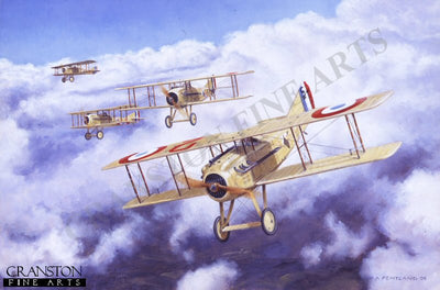 Mustering of Storks, Bonnemaison, France, 4th July 1917 by David Pentland. (B)