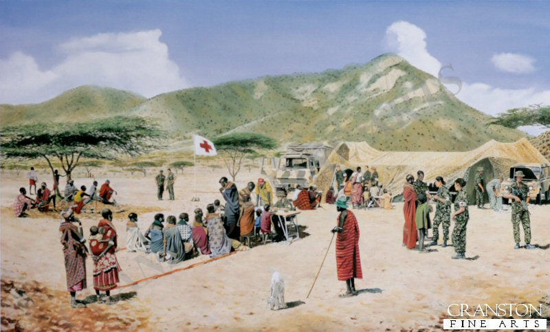 Medics in Africa by David Rowlands.