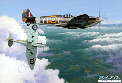 The Fledgling by Ivan Berryman. (C)