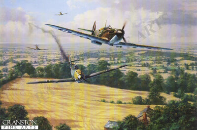 High Summer by Anthony Saunders.