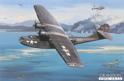 Black Cat Rescue by Nicolas Trudgian.