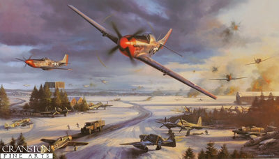 Mustang Mayhem by Nicolas Trudgian. (B)