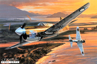 Combat Over New Guinea by Nicolas Trudgian.