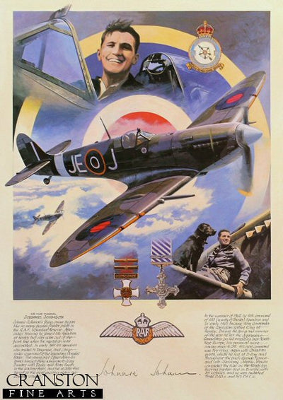 Fighter Legend - Johnnie Johnson by Nicolas Trudgian.