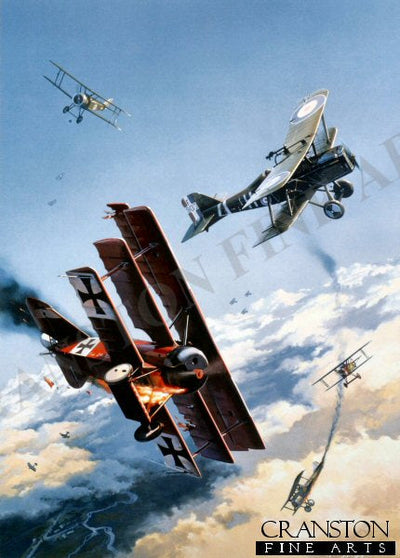 Knights of the Sky by Nicolas Trudgian