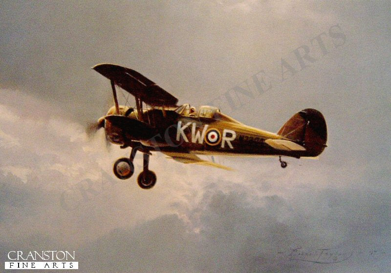Gloster Gladiator by Robert Taylor.