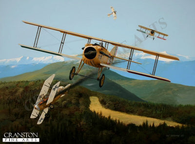 Tribute to Maggiore Francesco Baracca by Ivan Berryman. (B)