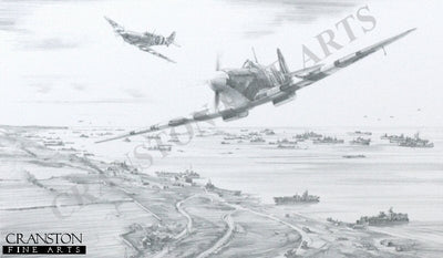 Patrolling the Beaches by Nicolas Trudgian.