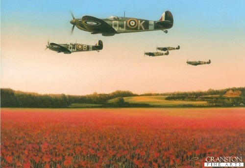 Fields of Glory by Richard Taylor.