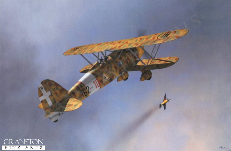 Fiat CR.42 'Falco' by Jerry Boucher.