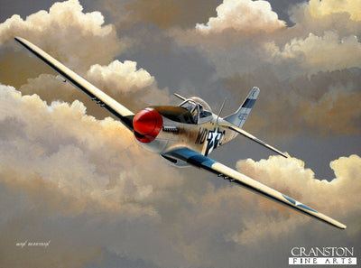 Tribute to Don Blakeslee by Ivan Berryman.