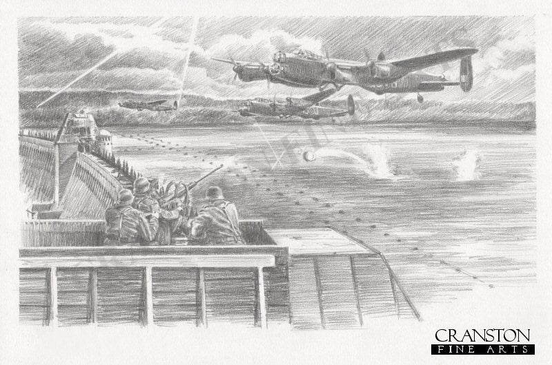 Dam Defenders by David Pentland.