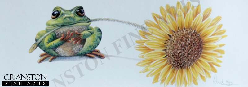 Frog Flora by Warwick Higgs.