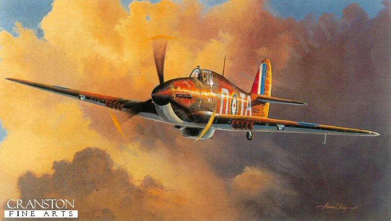 Unsung Hero by Adrian Rigby.