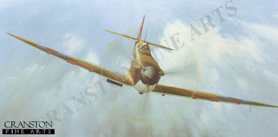 Spitfire Magic by Gerald Coulson.