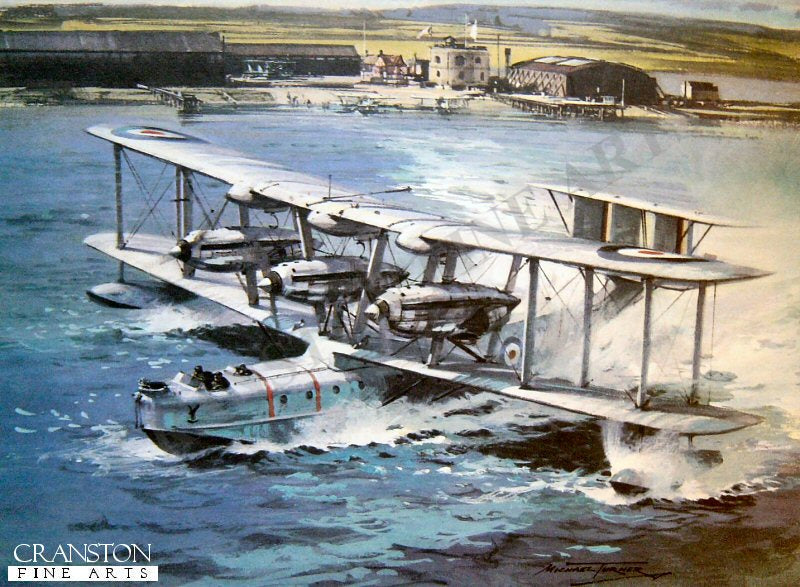 Blackburn Iris by Michael Turner.