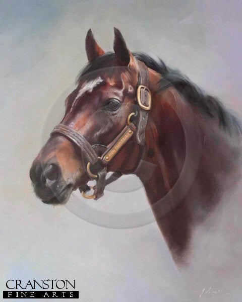 High Chaparral by Jacqueline Stanhope.