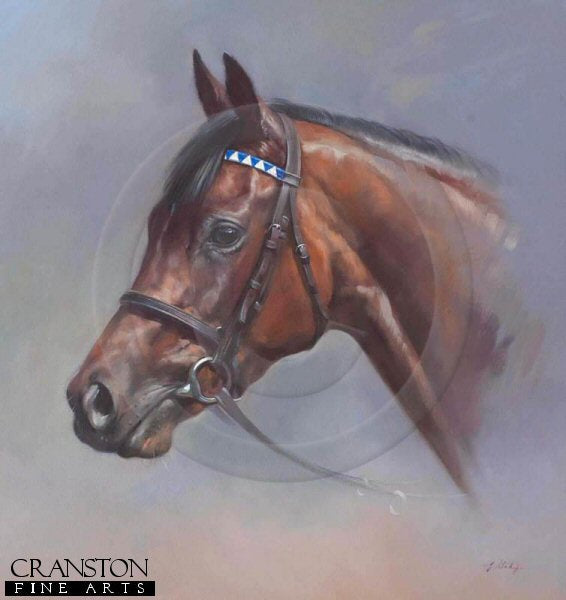 Taghrooda by Jacqueline Stanhope.