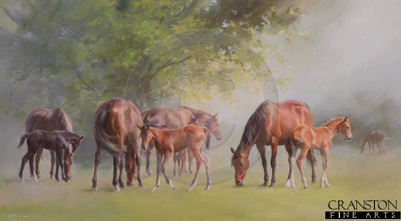 Tranquility by Jacqueline Stanhope.