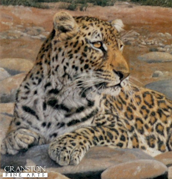Leopard by Anthony Gibbs.