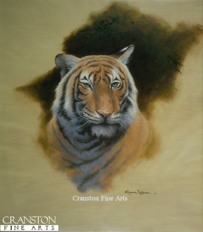 Sameena by Graeme Lothian