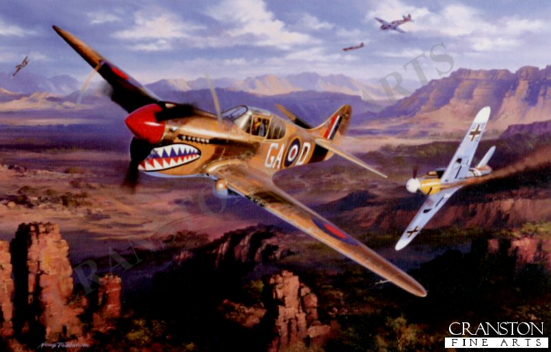 Duel in the Desert by Nicolas Trudgian.